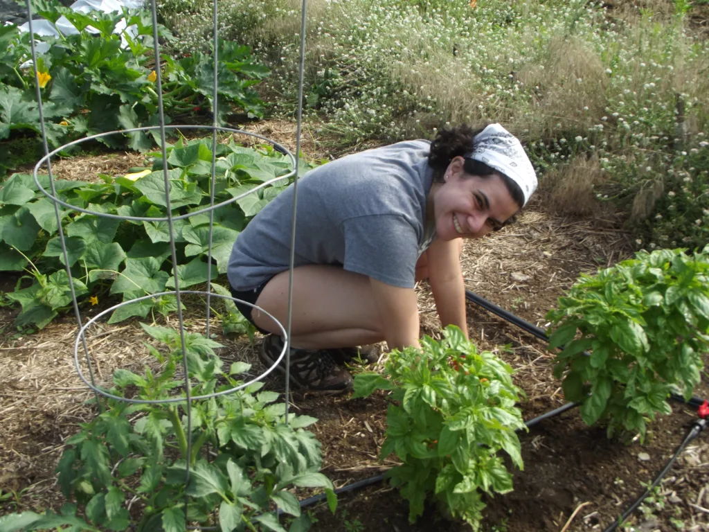 Student planting at UVM Hillel Farm