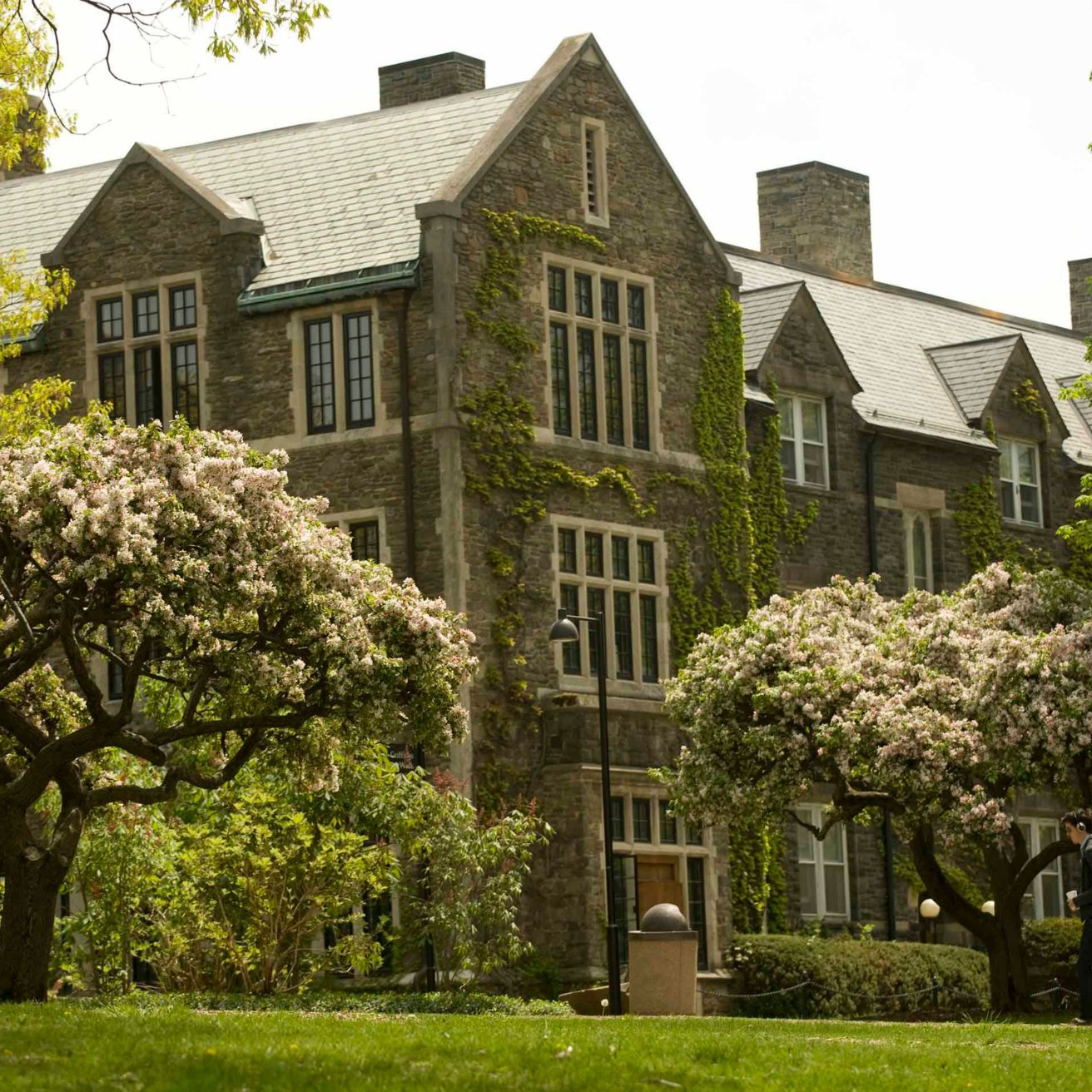 Bard College campus