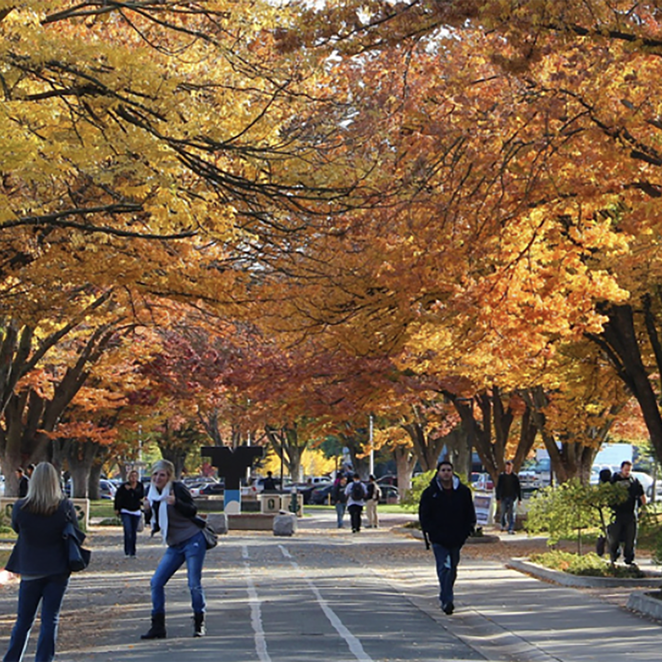 California State University, Sacramento campus