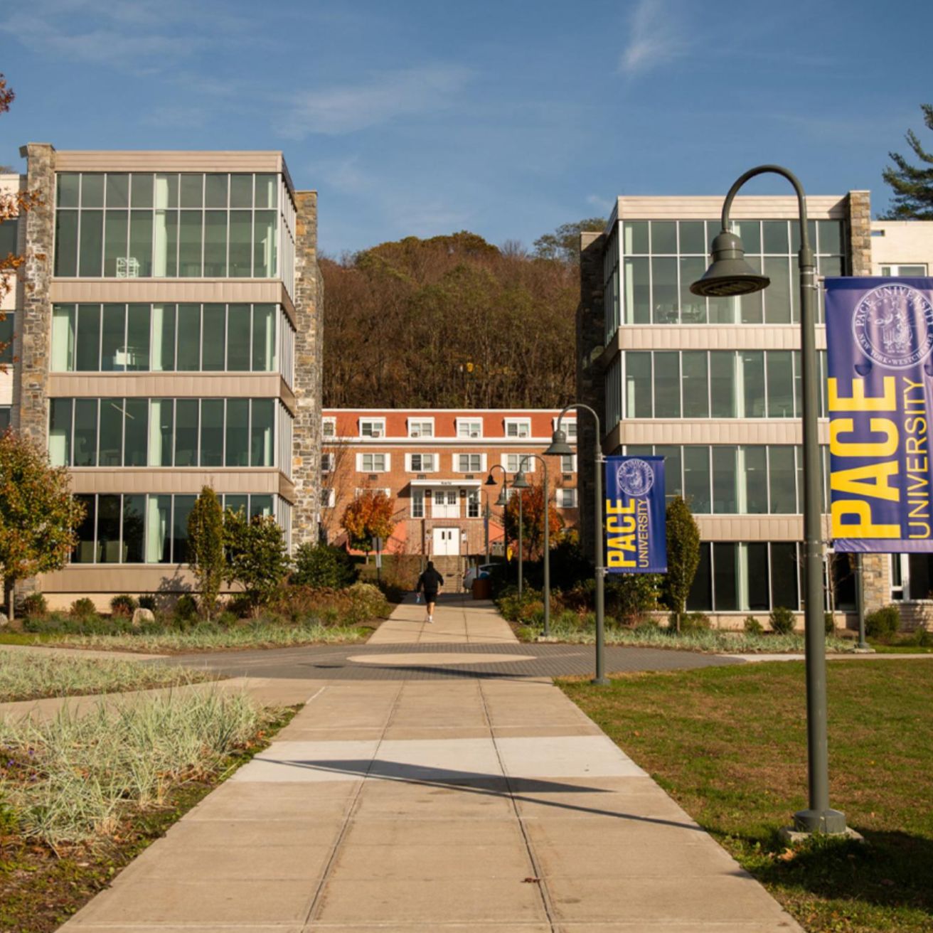 Pace University campus